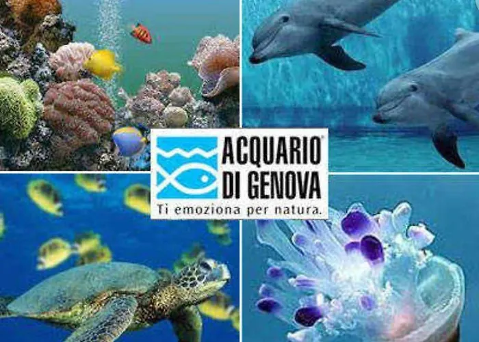 Hotel Twenty Nine Génova