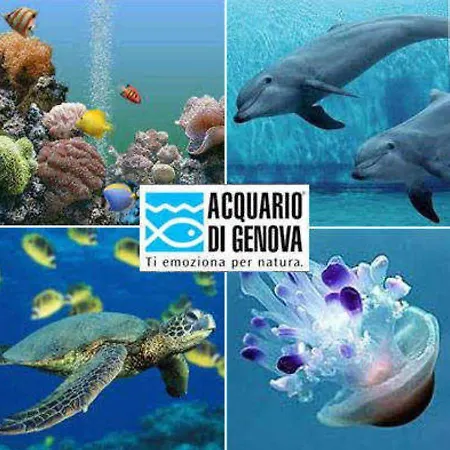 Hotell Twenty Nine Genua